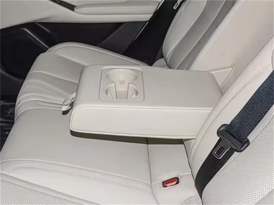Qin L 2025 EV 545KM Transcendent price